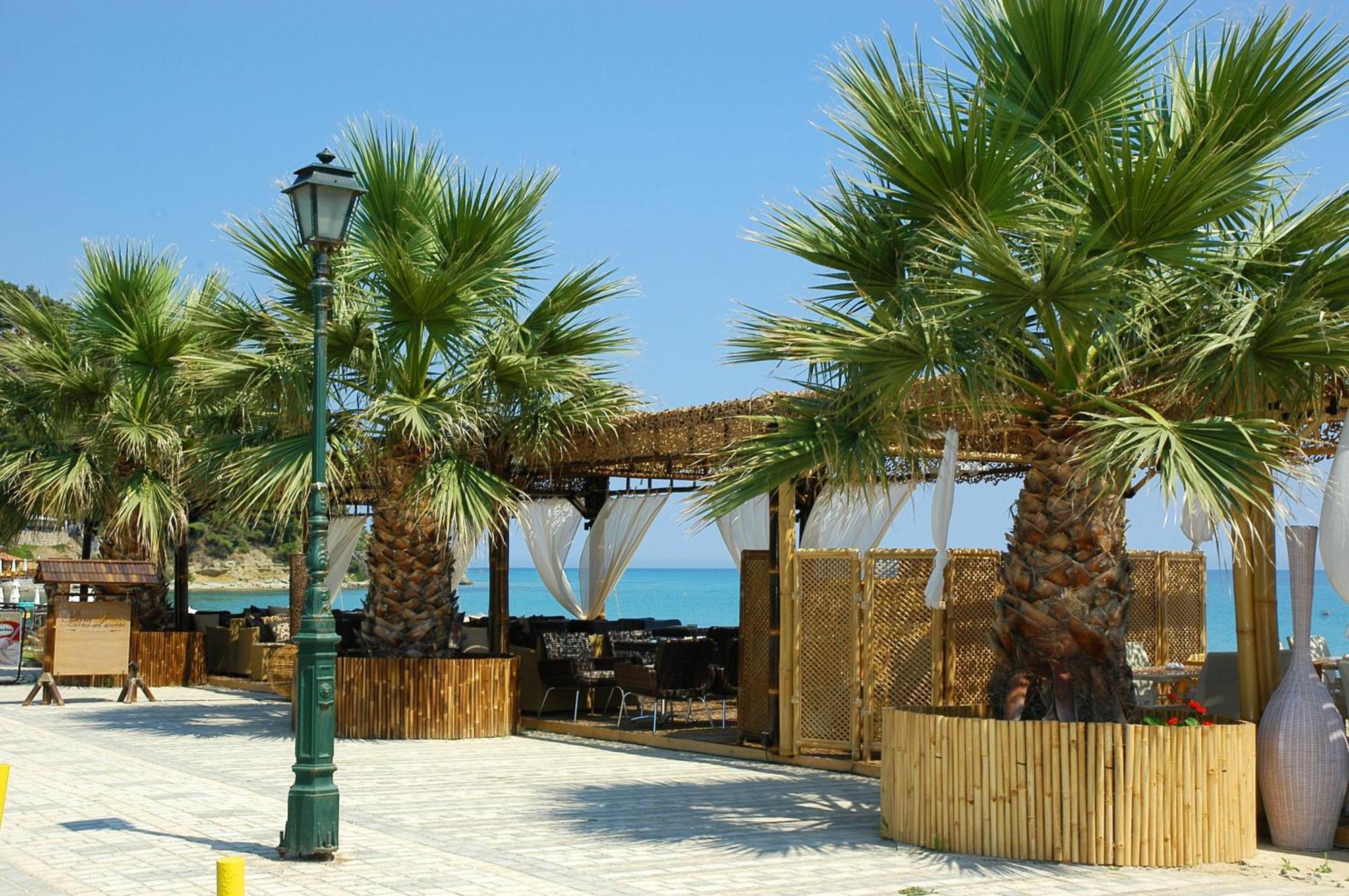 Xenios Possidi Paradise Hotel Dış mekan fotoğraf